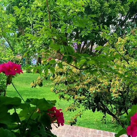 Grand Emir & 4* Dalyan