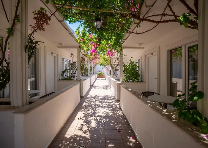 Hotel Grand Emir & 4*