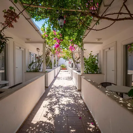 호텔 Grand Emir & 4*