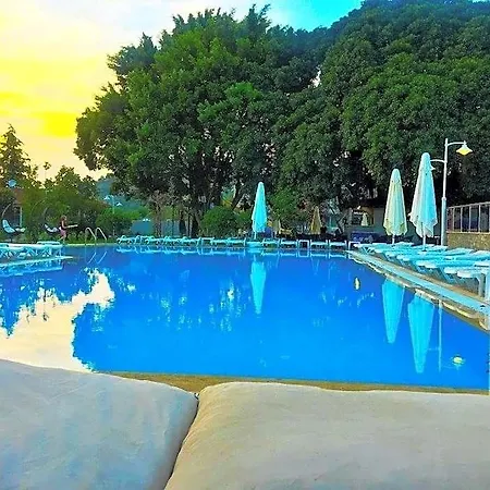 Grand Emir &